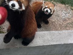 -水上乐园·欢乐世界