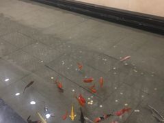 -秦三驴(云飞街店)
