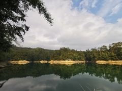 -广州市流溪河国家森林公园