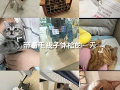 -玖佳宠物医院·泌尿·骨科·中老年病