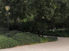 -玲珑塔公园