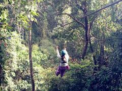 android_upload_pic-清迈丛林飞跃 JungleFlight