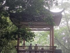 -缙云山景区