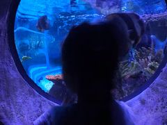 -成都浩海立方海洋公园