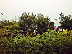 android_upload_pic-向日葵咖啡
