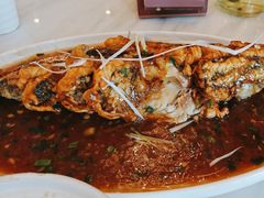-陈麻婆豆腐总店
