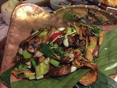 菌临天下-云海肴·汽锅鸡·云南菜(天津国金汇店)