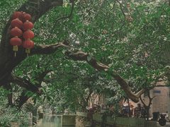 -小洲村