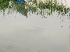 -艾溪湖湿地公园