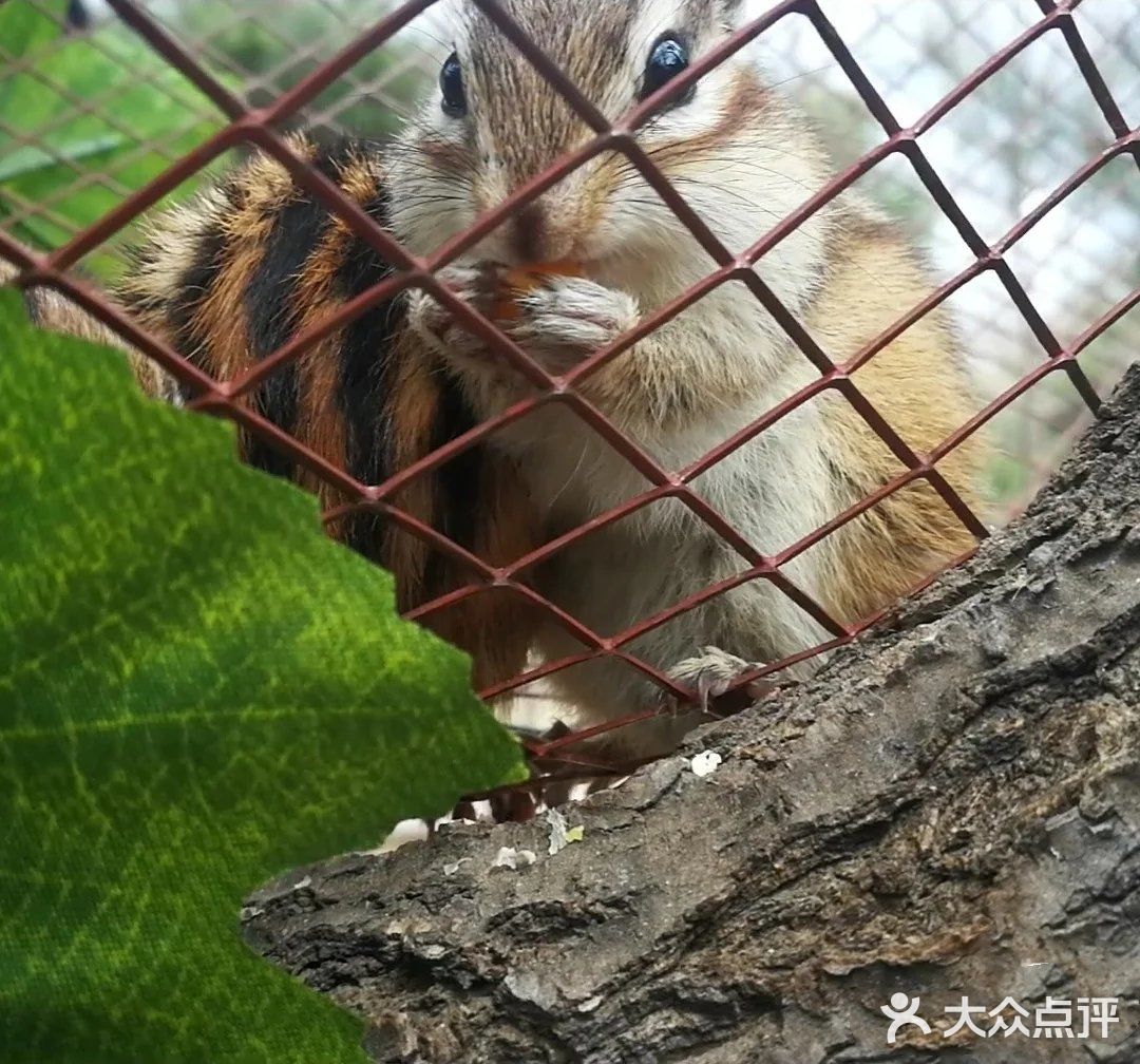 亲近大自然🌾亲近小动物🐘【遛娃必去】