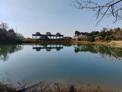 -四明山国家森林公园