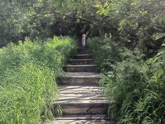 -白草畔自然风景区