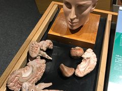 -香港科学馆