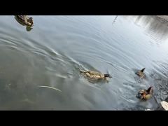 -北京植物园南门售票处