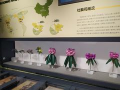 -四川大学博物馆