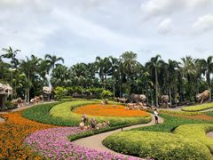 -东芭乐园