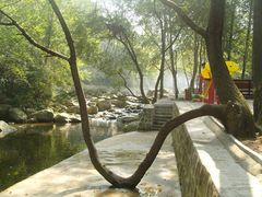 -陕西省红河谷森林公园