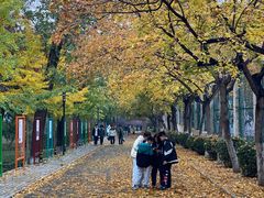 -山东师范大学(千佛山校区)