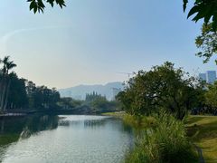 -四海公园(南山区)