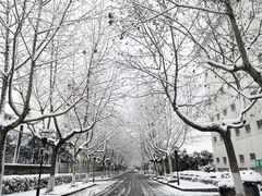 -南京师范大学仙林校区-内部地面停车场