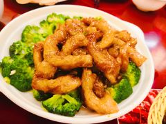 -鸢飞潍坊菜馆(鸢飞大酒店)