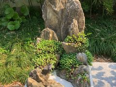 -上海醉白池公园