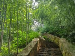 -素山寺森林公园