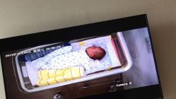 -海豚湾高端月子会所(黄浦店)