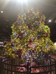 -幻贝家儿童乐园(苏州中心店)