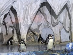 -太平洋海底世界