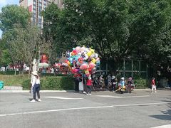 -成都动物园