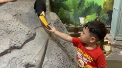 -Zoolung Zoolung动物主题公园(海信广场店)