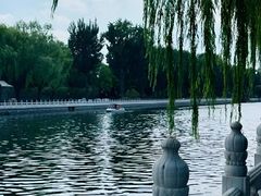 -后海公园