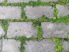 -天坛公园