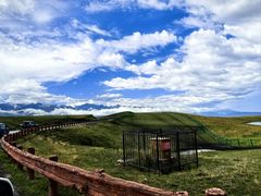 -新疆那拉提国家旅游度假区