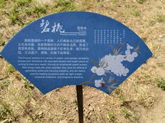 -绿堤公园
