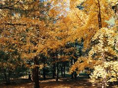 -国家植物园南园