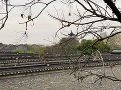 -松茸小馆·云南特色餐厅