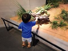 -北京周口店北京人遗址博物馆