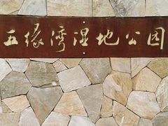 -五缘湾湿地公园
