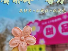 -桃花堤公园