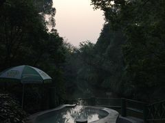 -鱼凫国都大酒店温泉
