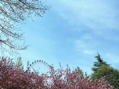 -宜兴龙背山森林公园
