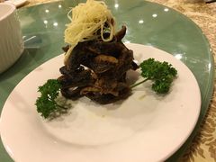 -中国饭店-餐厅