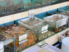 水产区-秋姐美食店(旅游大道店)