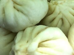 猪肉大葱-庆丰包子铺(田村店)