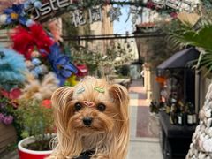 -Osteria Garden 生蚝花园餐厅(原进贤路店)