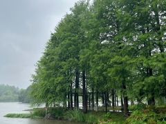 -浙江农林大学(东湖校区)
