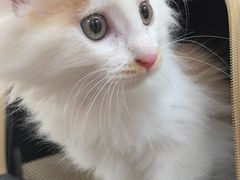 -宠颐生中康贝怡动物医院