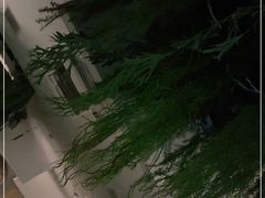 -相遇·鲜炒黄牛肉(丹阳吾悦广场店)